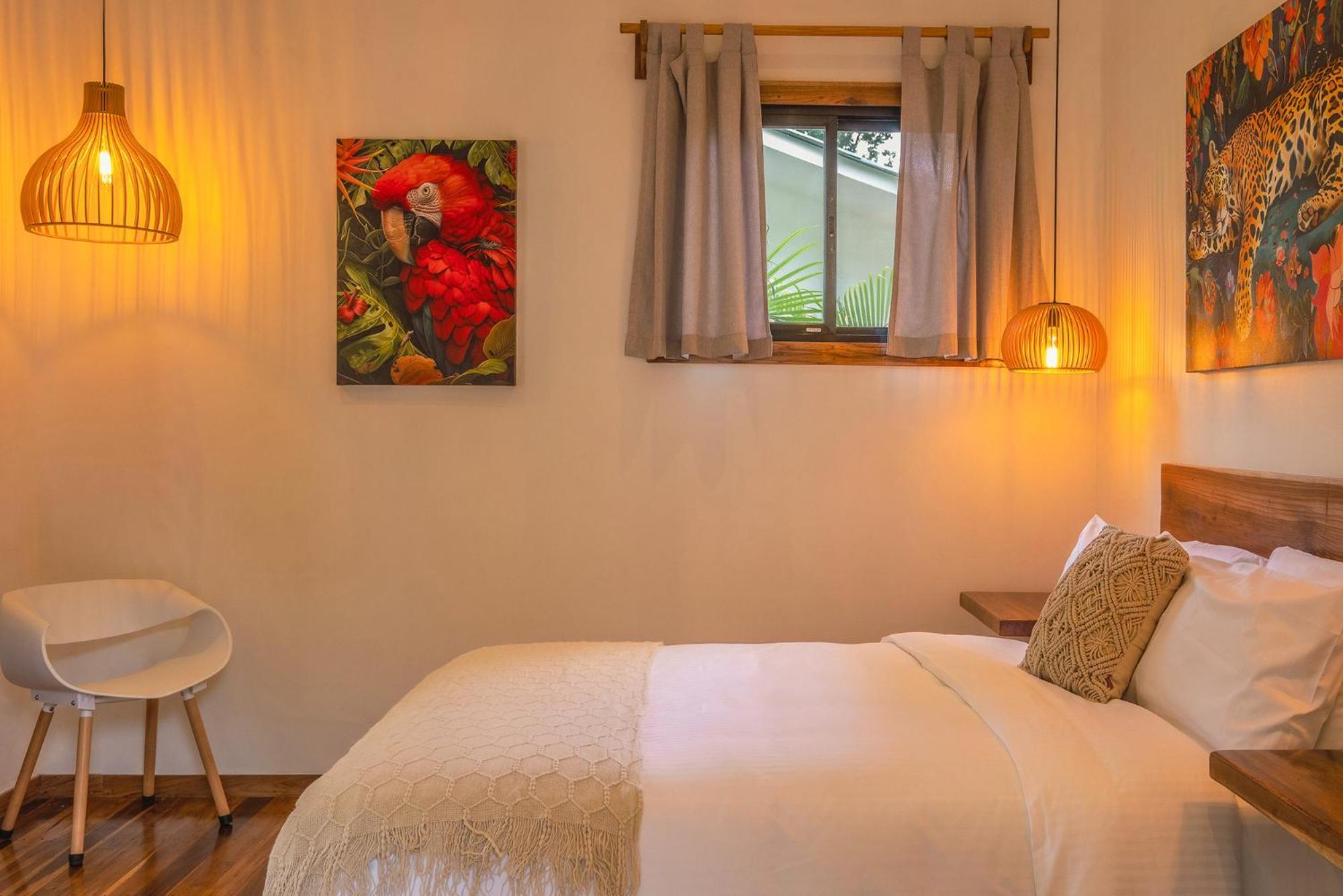 El Nido Jungle Lodge Puerto Viejo de Talamanca Eksteriør bilde