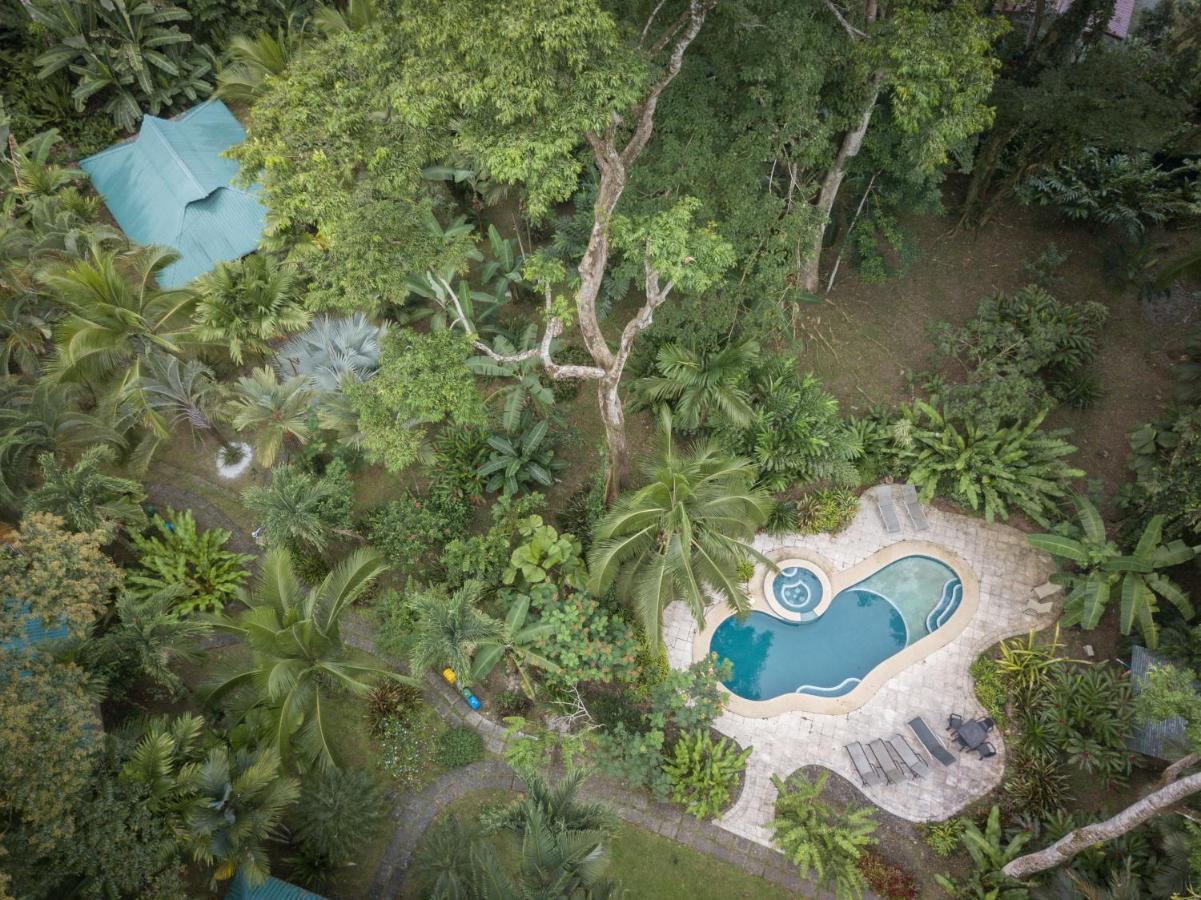 El Nido Jungle Lodge Puerto Viejo de Talamanca Eksteriør bilde